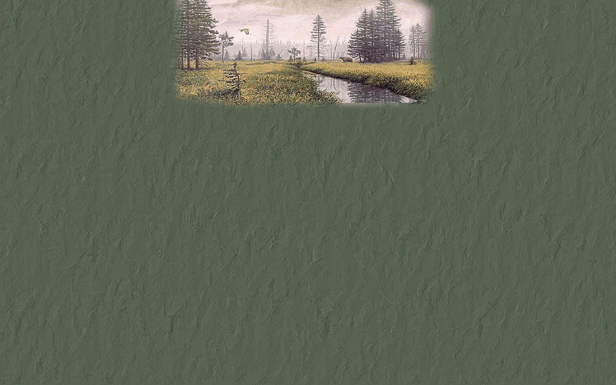 Nature BG 2 Cropped