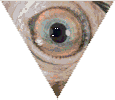 eye_anim_rev