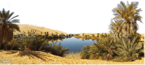 Oasis Pixels