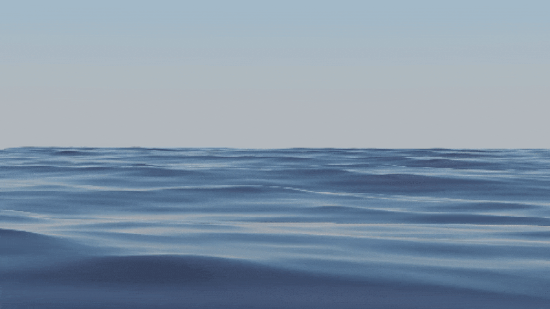 Plank Ocean